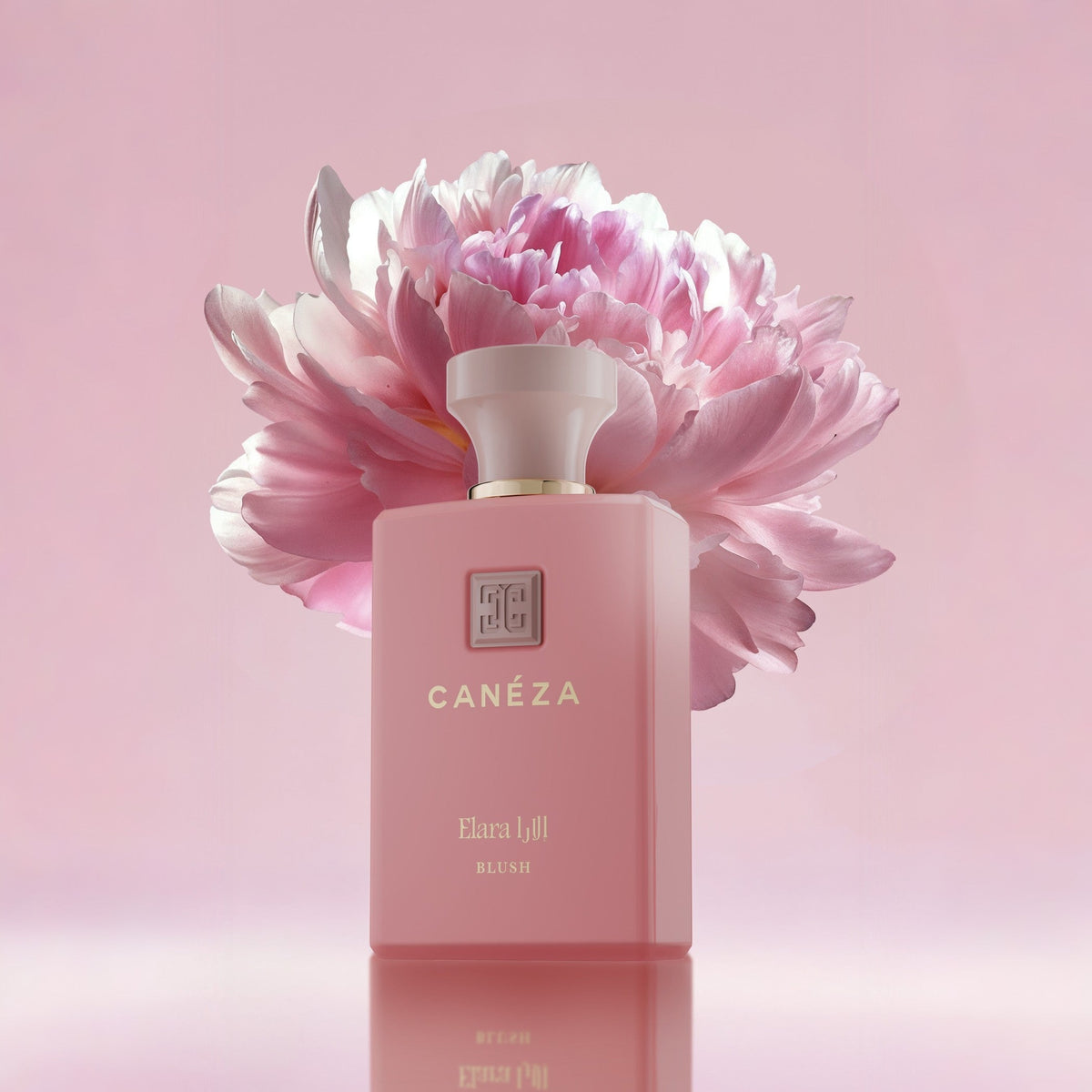 ELARA BLUSH